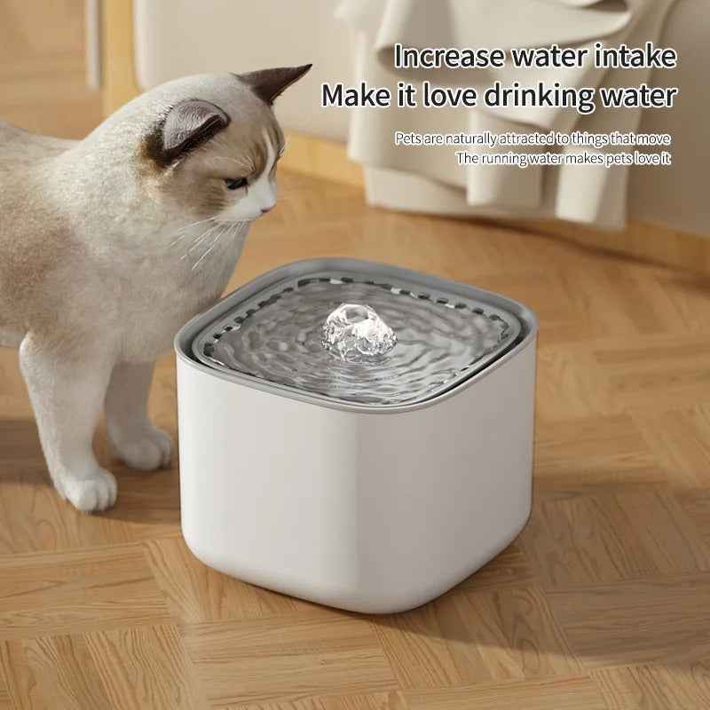 pet drinking fountain