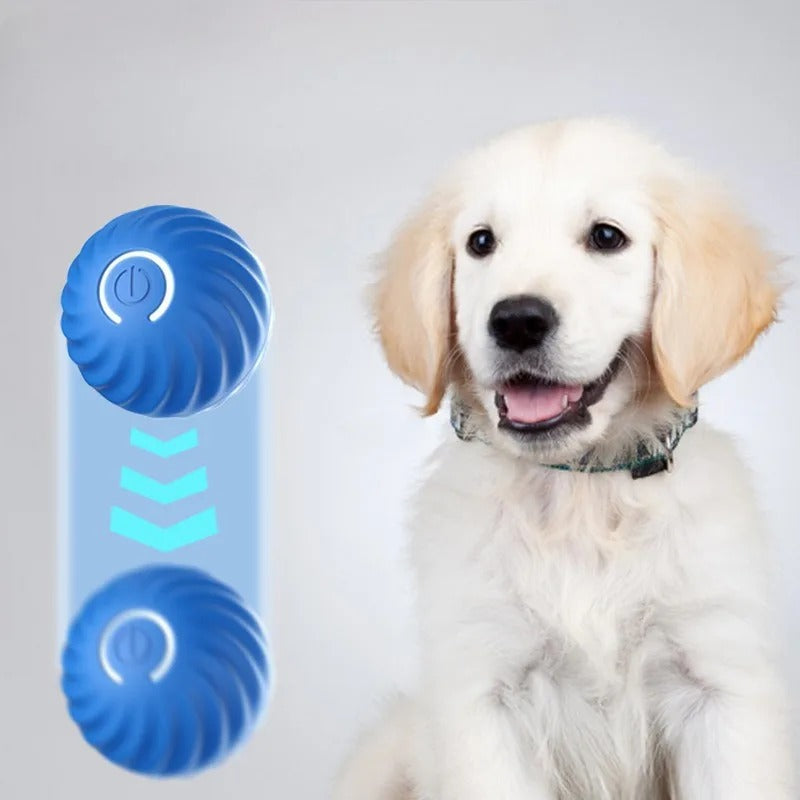 Smart Dog Toy Ball