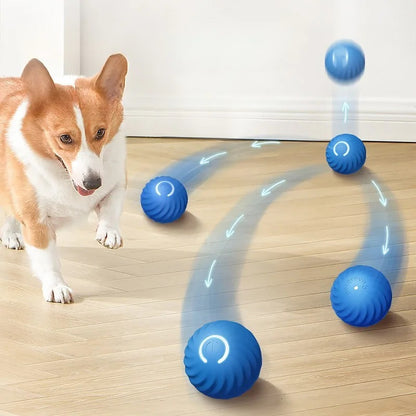 Smart Dog Toy Ball