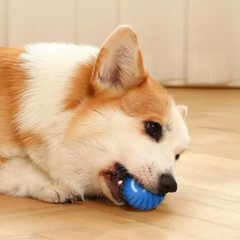 Smart Dog Toy Ball