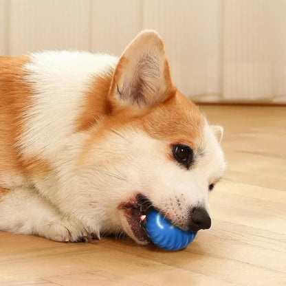 Smart Dog Toy Ball