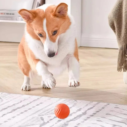 Smart Dog Toy Ball