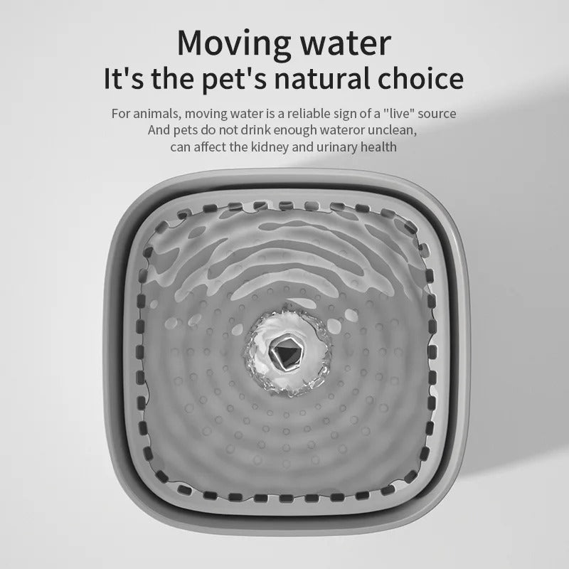 pet drinking fountain