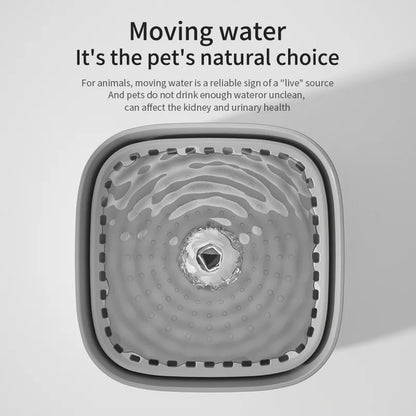 pet drinking fountain