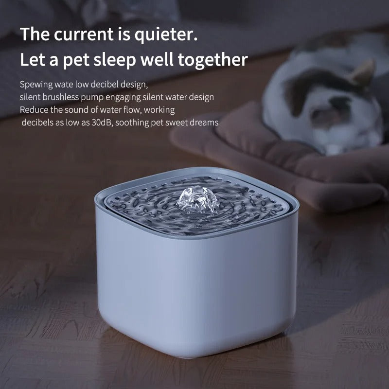 pet drinking fountain